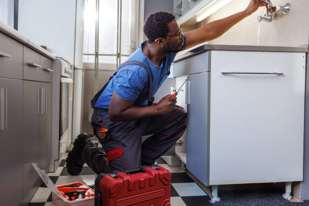 Best Sprinkler Systems  in Waukesha, WI